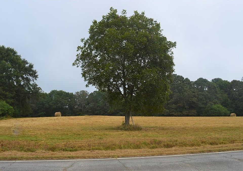 1st image of 5406 Old Highway 441 N