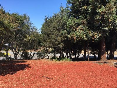 15660 Red Oak Pl, Salinas, CA, 93907