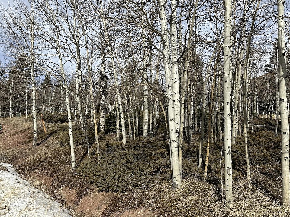 2nd image of Valley Rd #91