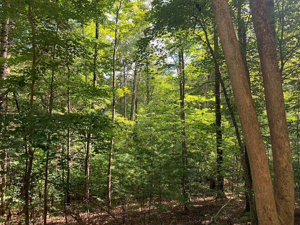 LOT 6 Fincastle Rd, Rogers, KY 41365 MLS 23015060 Zillow