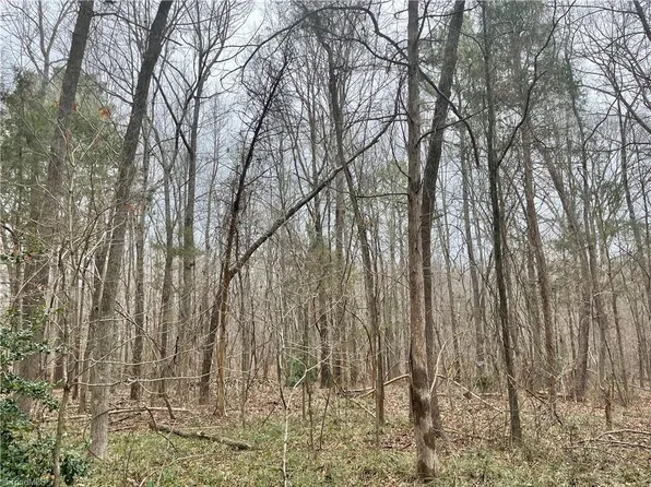 0 Pineview Acres, Goldston, NC 27252