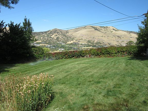View of City Creek from Backyard