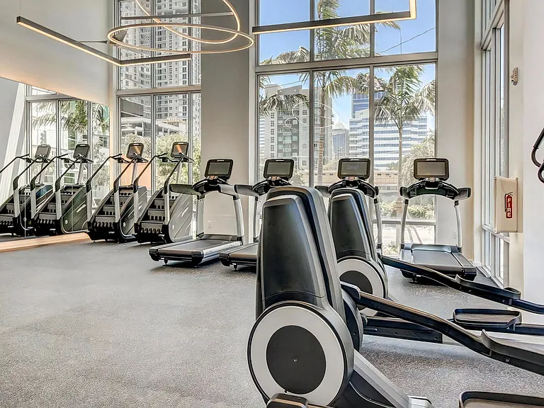 Full Gym Setup With Treadmills and Ellipticals Beside Tall Windows