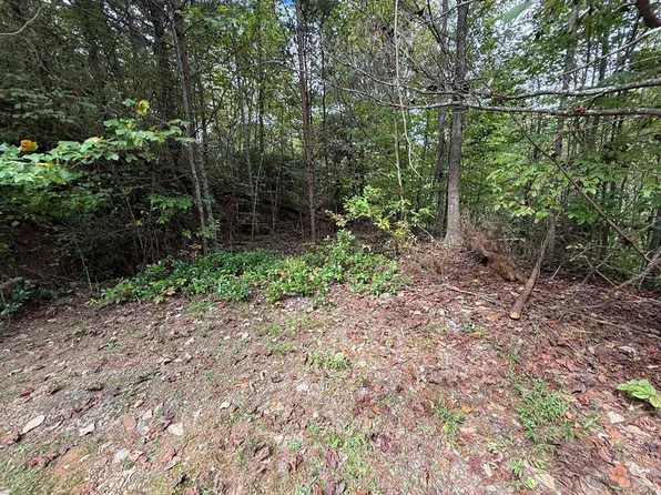 0 Reserve Est, Murphy, NC 28906