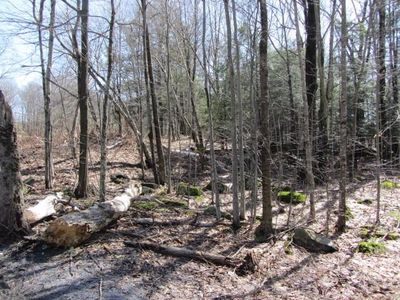 Cooley Mountain Road, Parksville, NY, 12768