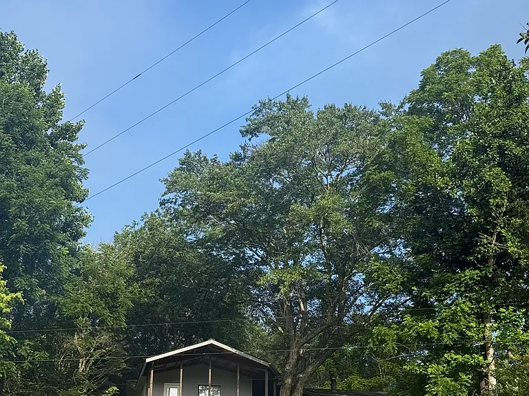 6 Carroll Mountain Dr — Photo 14