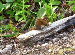 56339 Saddle Back Rd, Bandon, OR 97411