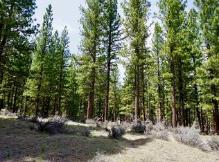 77 Cody Dr, Clio, CA 96106