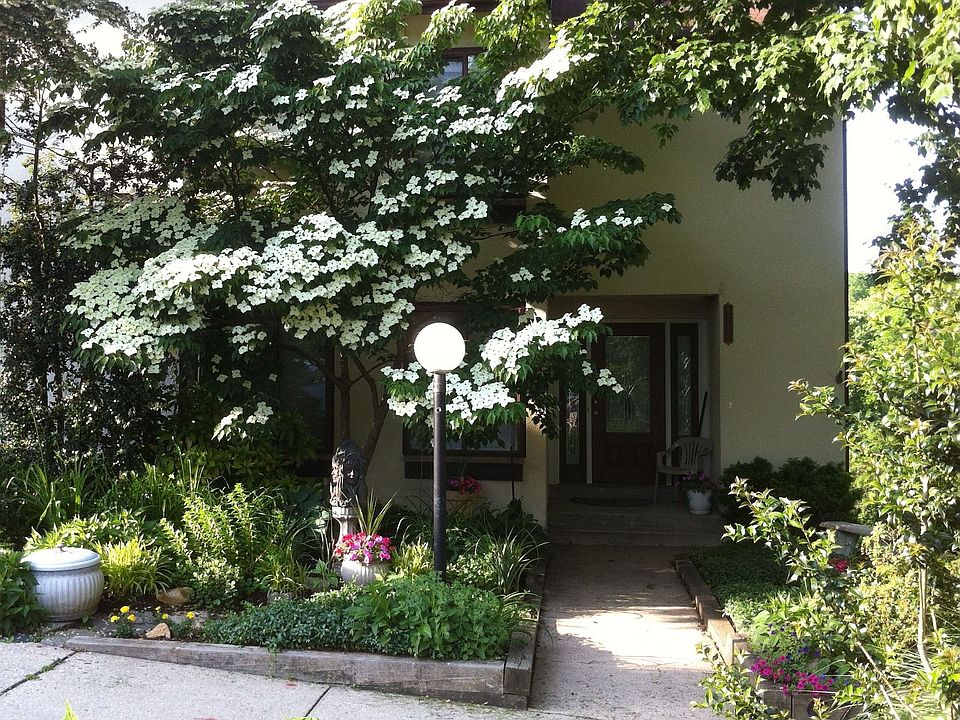 Landscaped front yard