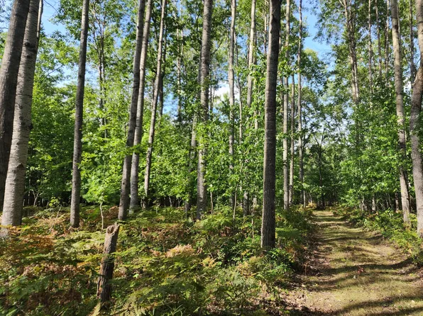 Kirche In The Woods Dr, Spruce, MI 48762