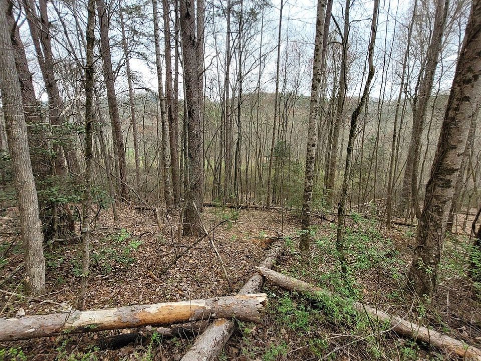 2nd image of 0 Cutcane Rd