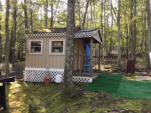 Shed in the backyard