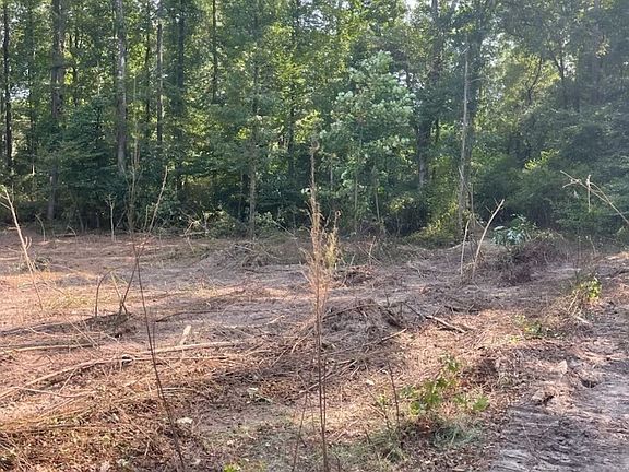 5th image of 815 A J Irvin Rd