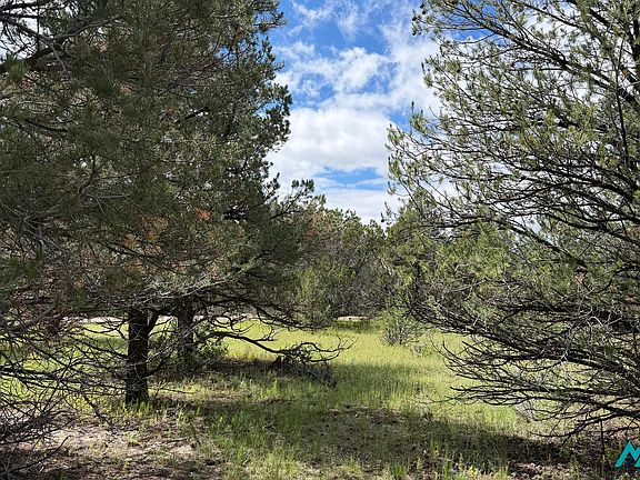 2nd image of 85 Largo Canyon Loop #3