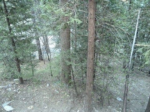 1st image of 26780 Highway 189