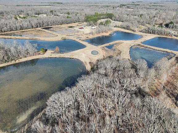 Org 37e139067a00e784 1768856744000