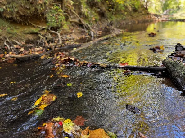 0 Courthouse Rd, Chase City, VA 23924