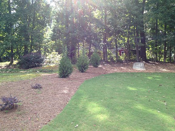 Year yard, SW corner