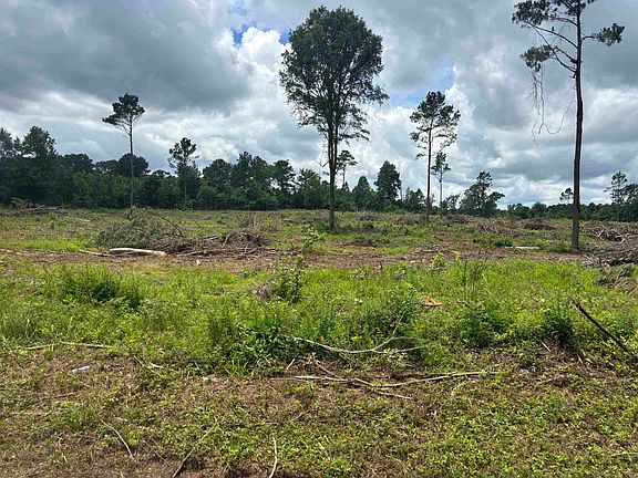 3rd image of County Road 3665