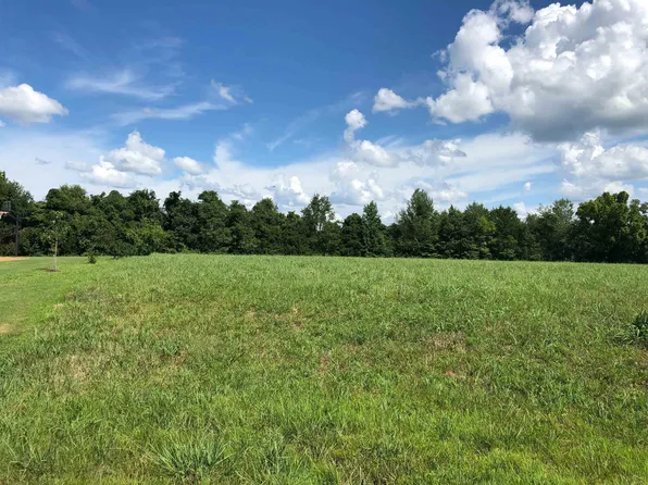 38 Callaway Cv, Medina, TN 38355