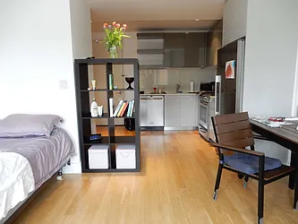 Rented by Starts New York Realty LLC