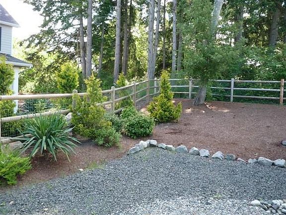 Portion of back yard