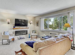 1229 Madison Ave APT 295, Detroit Lakes, MN 56501