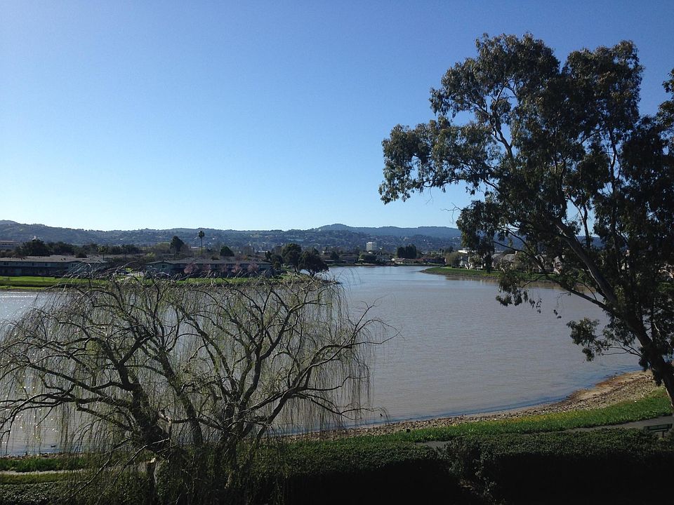 View from TV/ Living room