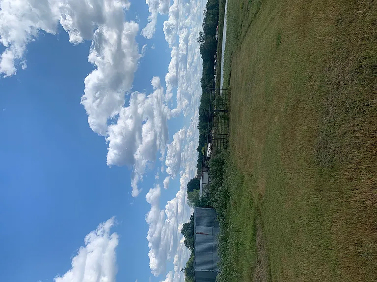 2339 W FM 898 — Photo 53