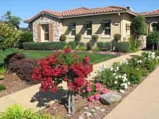 1st image of 111 Donatella Ct