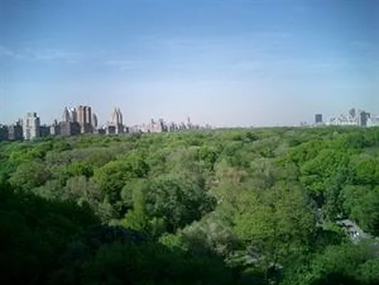 Rented by Douglas Elliman | media 14