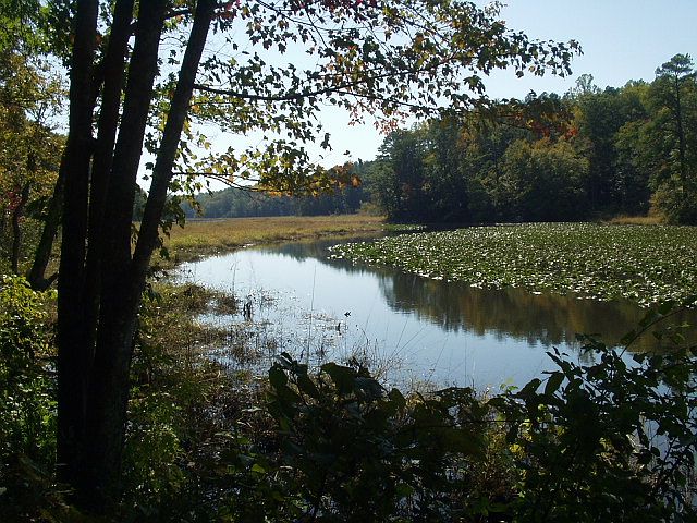2nd image of 149 Little Creek Rd