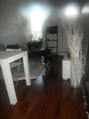 Rented by Love Where You Live Realty | media 17