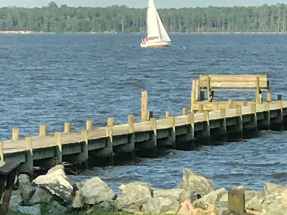 A view from the front yard