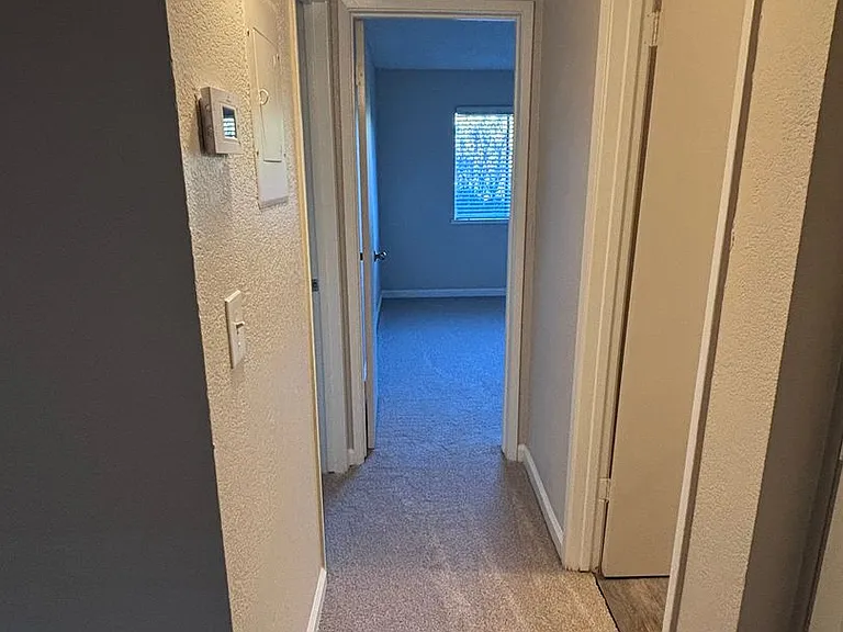 Olive Glen — Photo 19