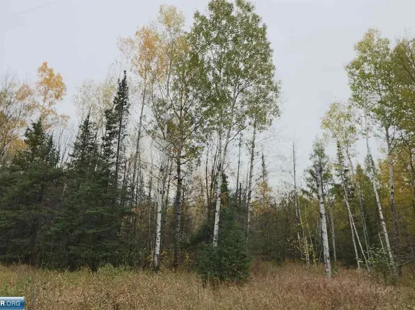 Highway 100, Aurora, MN 55705