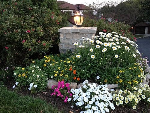 Condo entrance landscape