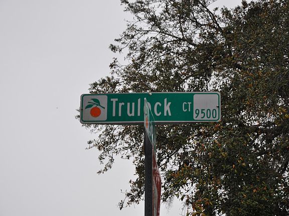 5th image of 9519 Trulock Ct