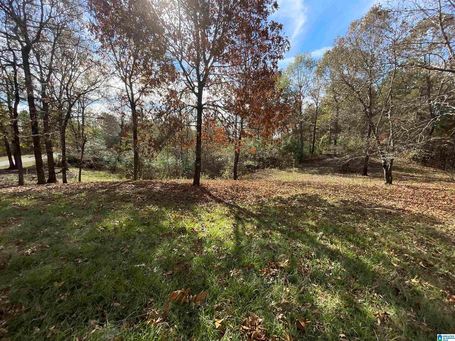 12073 Highway 47, Shelby, AL 35143 Zillow