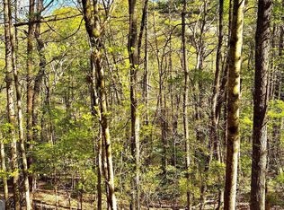 0 Summit Ln LOT 356, Ellijay, GA 30540