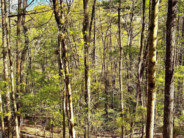 0 Summit Ln Lot 356, Ellijay, GA 30540