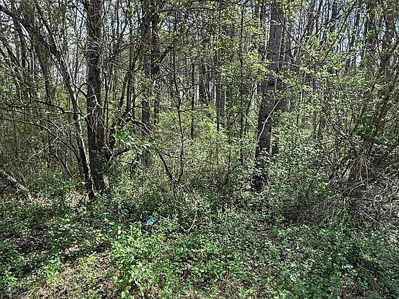 3rd image of 20 Sutton Rd Lot B