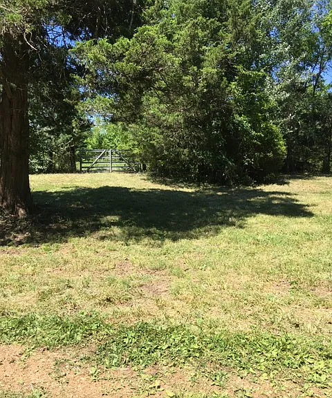 940 County Road 534 — Photo 4