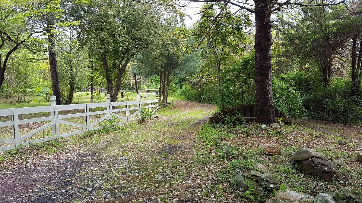 3985 Ridgeway Rd photo 1