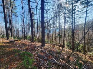 111 Digging Seng Trl, Waynesville, NC 28785