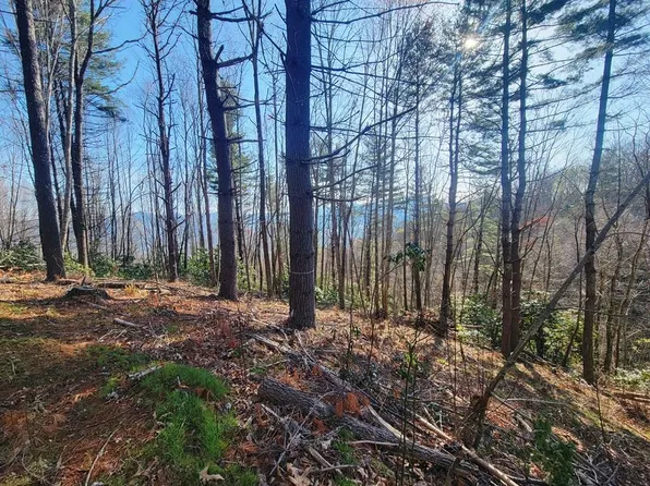 111 Digging Seng Trl, Waynesville, NC 28785