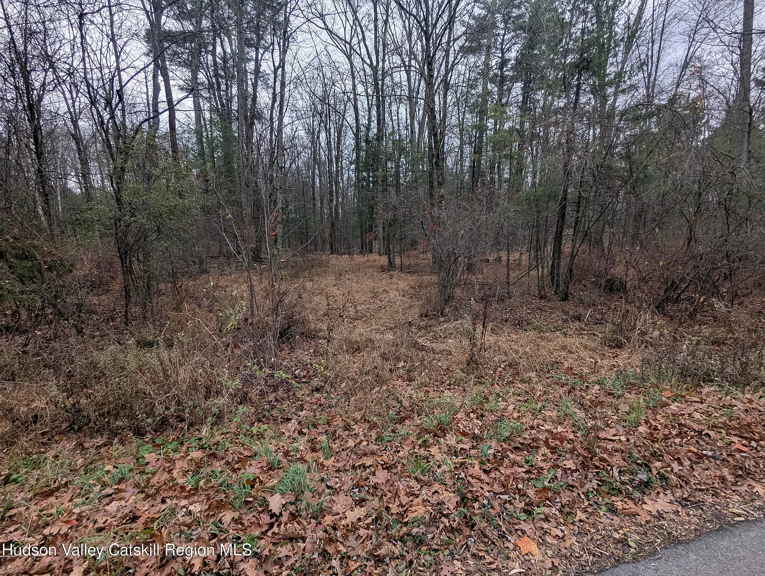 48 Ridge Road photo 1