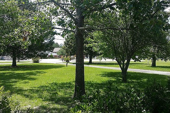 4th image of 513 Pauline Ave