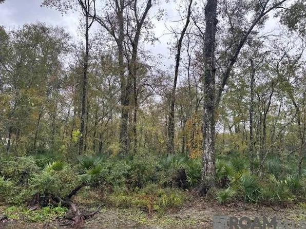 6B Prince Rd, Saint Amant, LA 70774