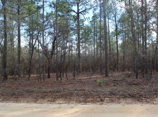 Rhoda Rish Rd, Leesville, SC 29070